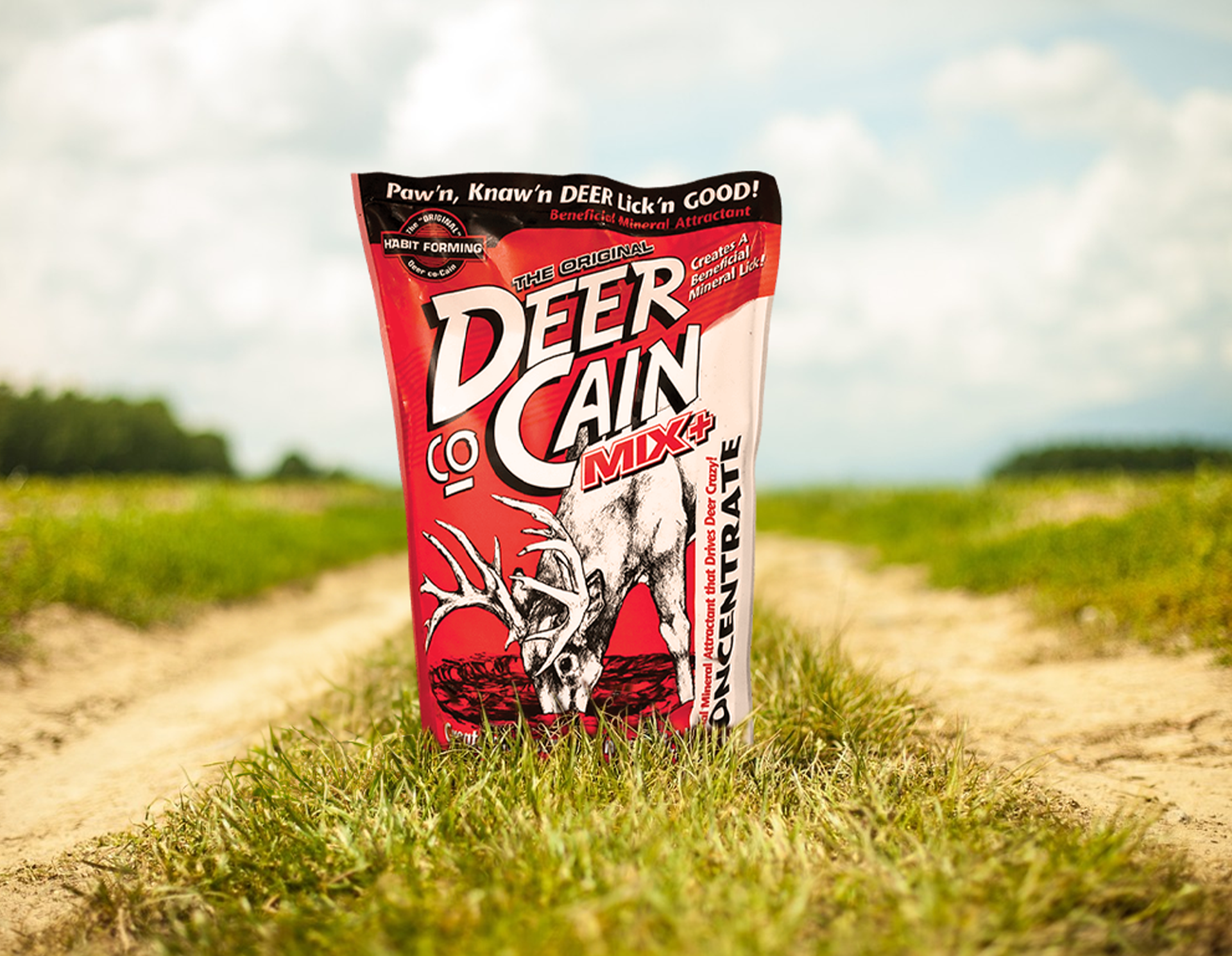 Attractants lifestyle photo