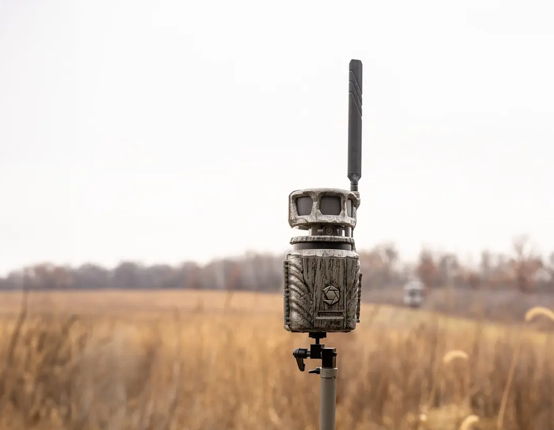 Trail camera lifestyle photo