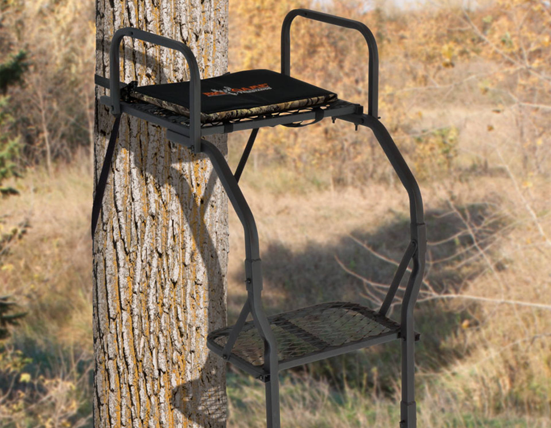 Tree stand lifestyle photo