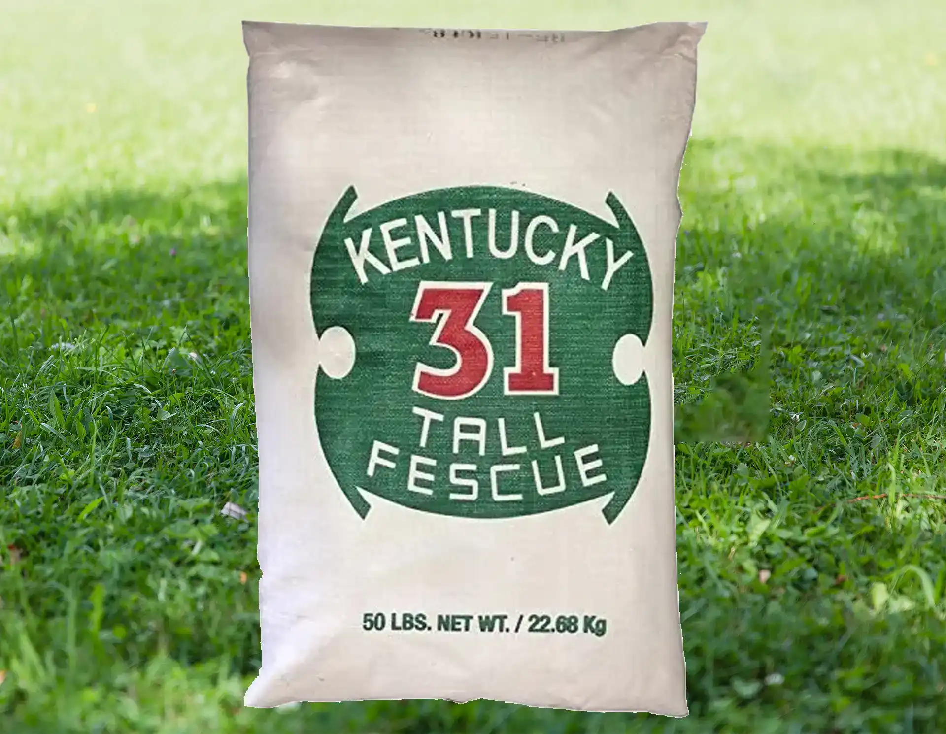 Grass seed lifestyle