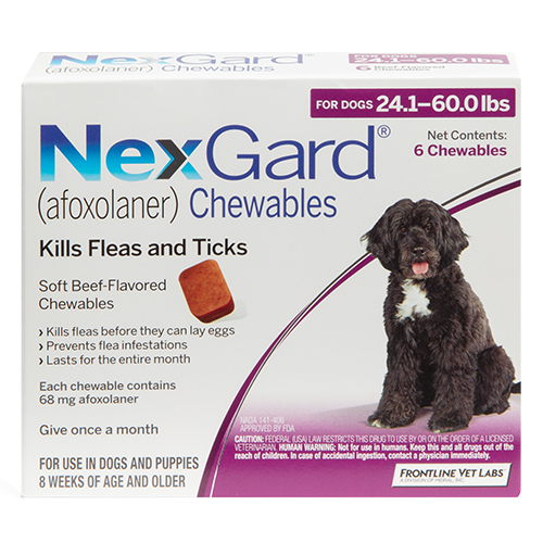 NexGard product image