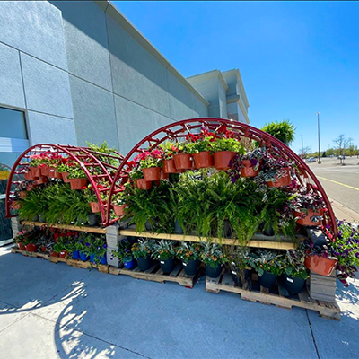 Live goods display outside of FFH store