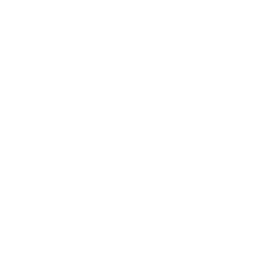 Toro Logo
