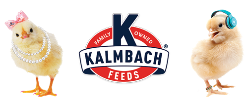 Kalmbach logo with two chicks standing next to the logo